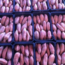 Almacén de hortalizas en Cádiz 26