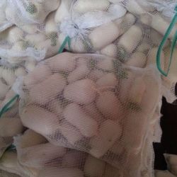 Almacén de hortalizas en Cádiz 25