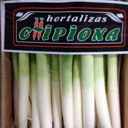 Almacén de hortalizas en Cádiz 17