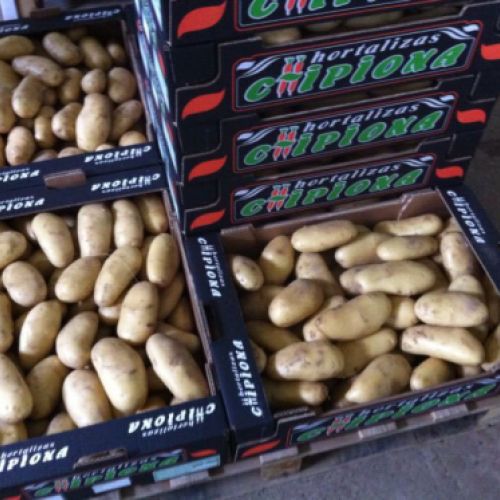 Almacén de hortalizas en Cádiz 18