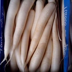 Almacén de hortalizas en Cádiz 30