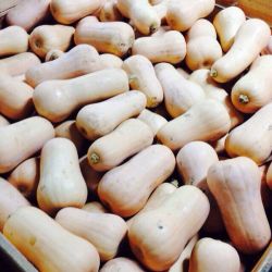 Caja con calabazas cacahuete