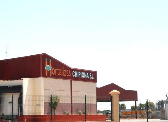 Mayorista de hortalizas en Cádiz