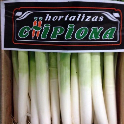 Almacén de hortalizas en Cádiz 17