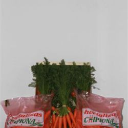 Zanahorias lavadas y embolsadas