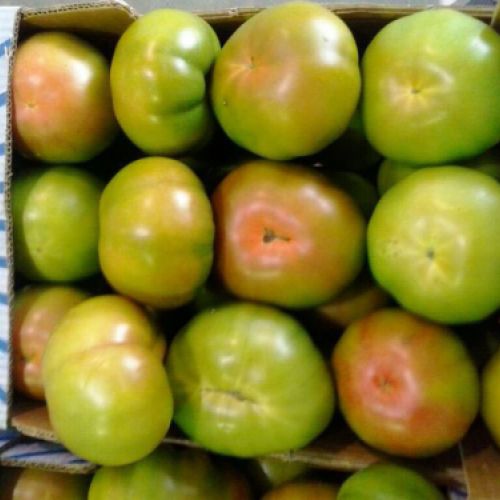 Almacén de hortalizas en Cádiz 23