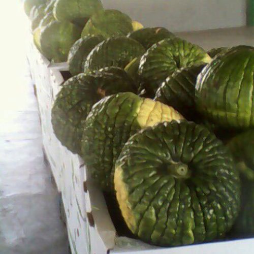 Almacén de hortalizas en Cádiz 29