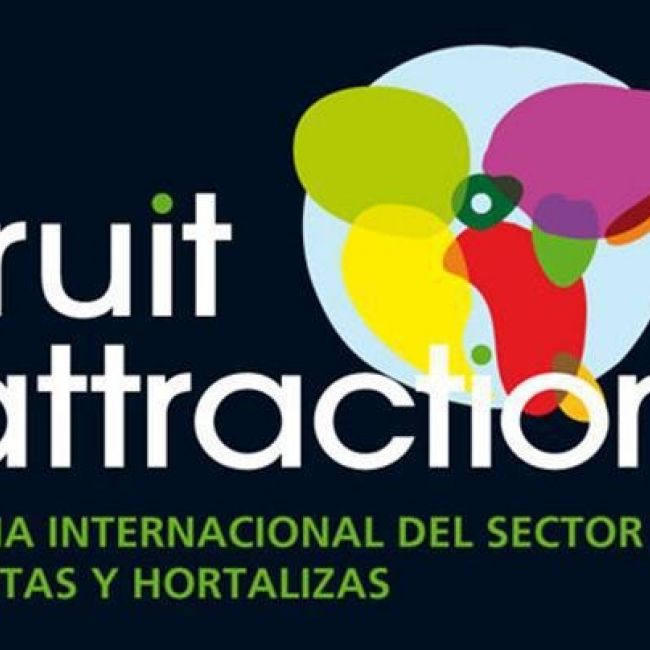 big 141460 146459 IMAGEN 20 FRUIT ATTACTION Medium