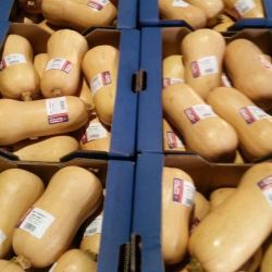 Cajas de calabazas cacahuete