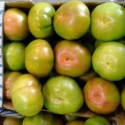Almacén de hortalizas en Cádiz 23