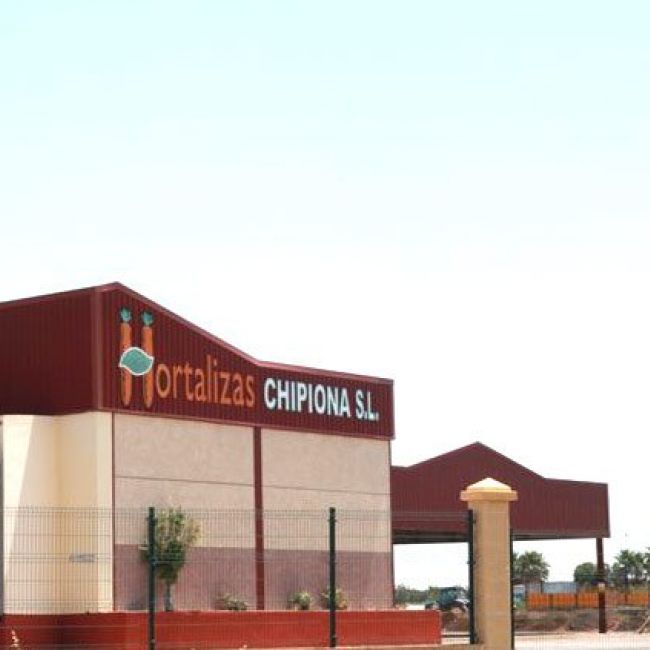 Mayorista de hortalizas en Cádiz