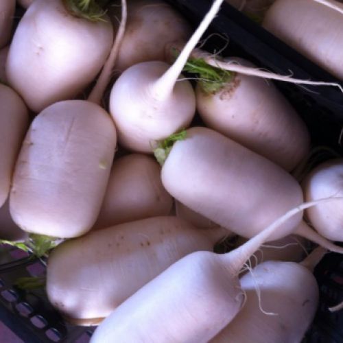 Almacén de hortalizas en Cádiz 21