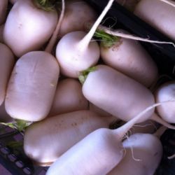 Almacén de hortalizas en Cádiz 21