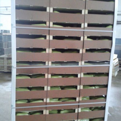 Almacén de hortalizas 3