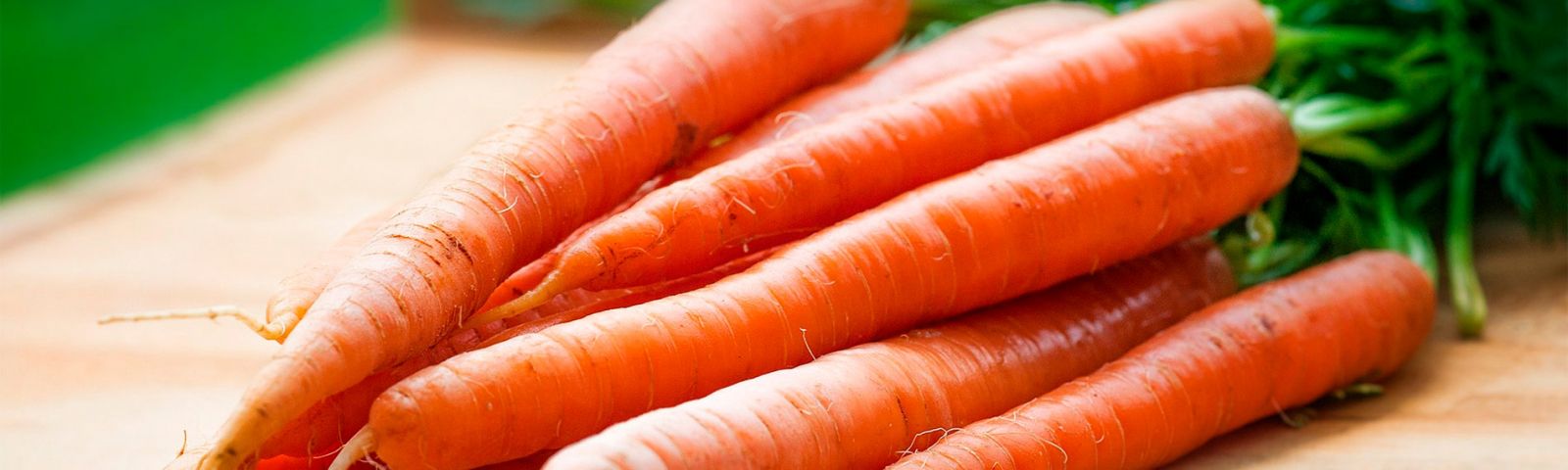 Mayorista de hortalizas en Cádiz