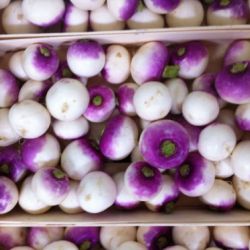Almacén de hortalizas en Cádiz 20