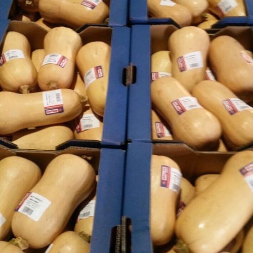 Cajas de calabazas cacahuete