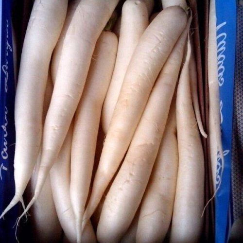 Nabos largos