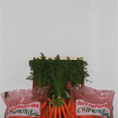 Zanahorias lavadas y embolsadas