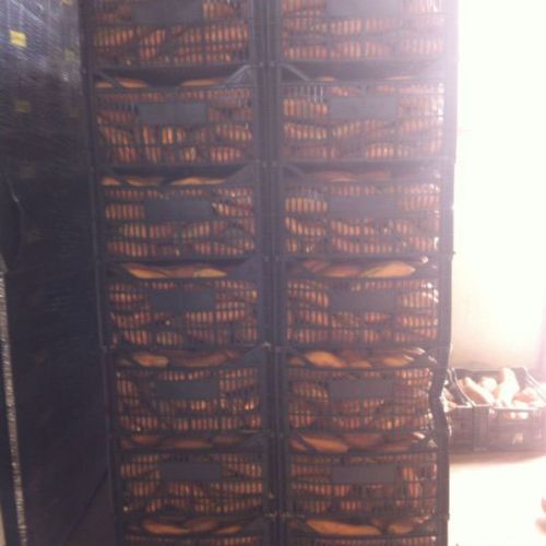 Almacén de hortalizas 1