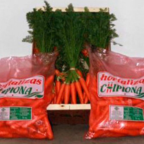 Zanahoria en bolsa