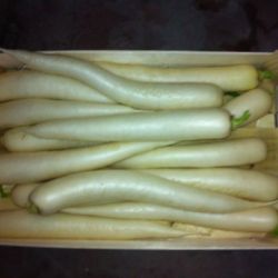 Almacén de hortalizas en Cádiz 22